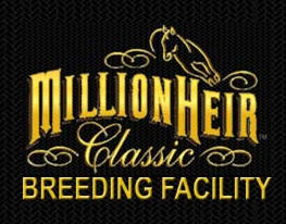 million heir classic cutting horses