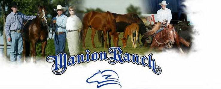 Manion Ranch cutting horse